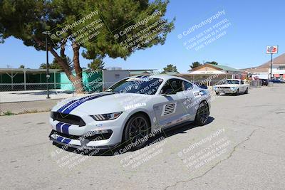 media/May-07-2022-Cobra Owners Club of America (Sat) [[e681d2ddb7]]/Around the Pits/